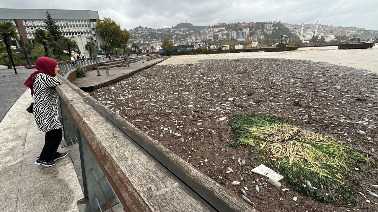 Zonguldak Sahilinde Sağanak ve Fırtına Sonrası Çevre Kirliliği Meydana Geldi - Sayfa 1