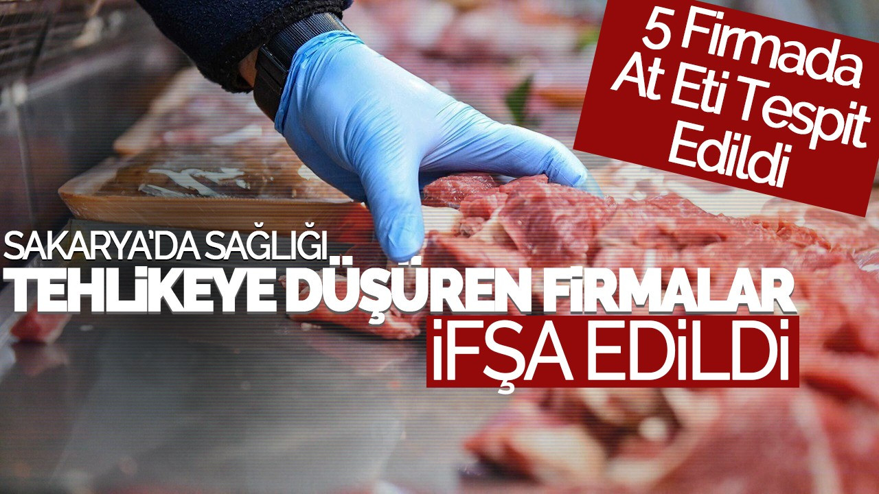 Sakarya'da Sağlığı Tehlikeye Düşüren Firmalar İfşa Edildi: 5 Firmada At Eti Tespit Edildi