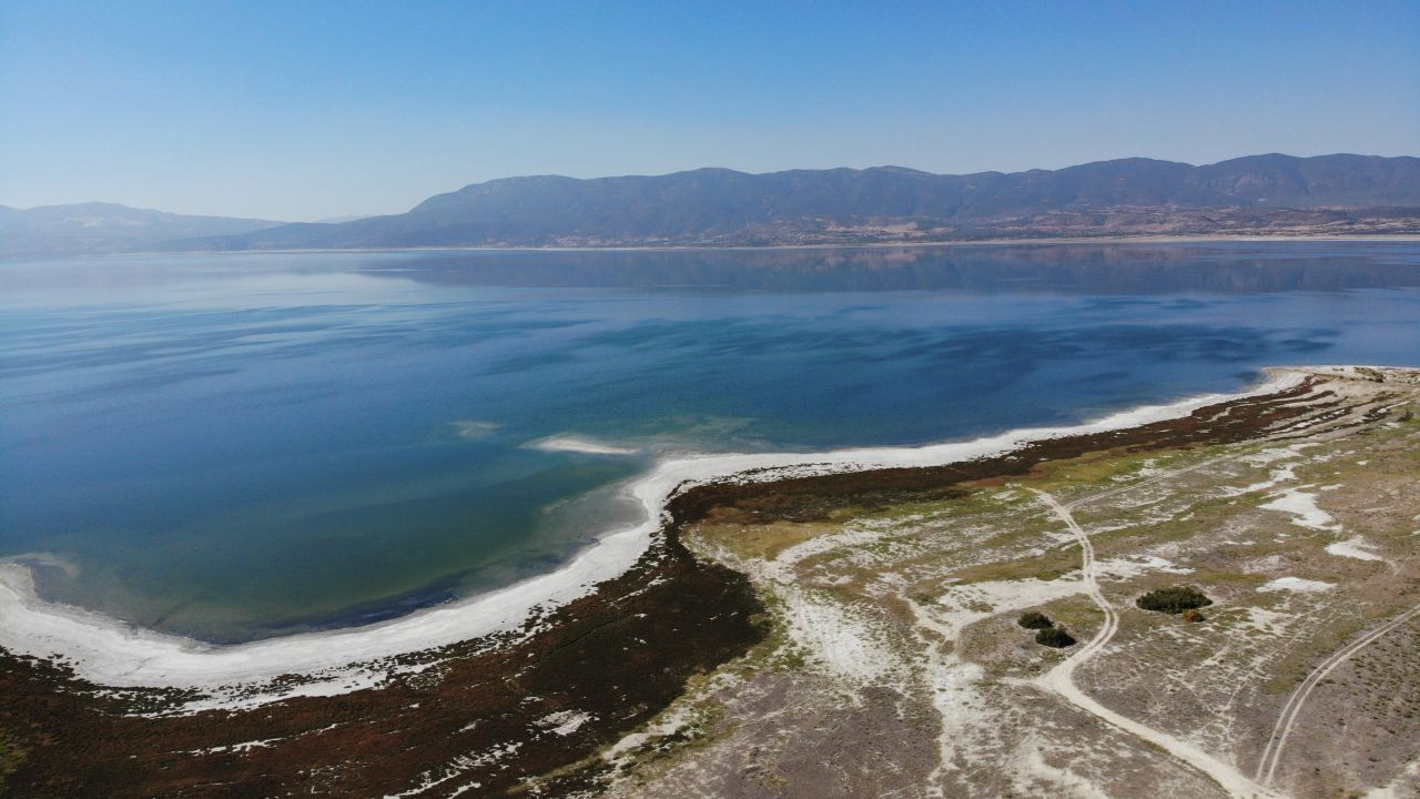 Burdurlu Gazeteciler kuraklıkla boğuşan Burdur Gölü'nü kurtarmak için fidan dikti - Sayfa 2