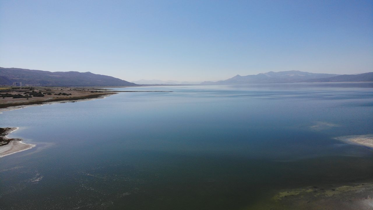 Burdurlu Gazeteciler kuraklıkla boğuşan Burdur Gölü'nü kurtarmak için fidan dikti - Sayfa 3