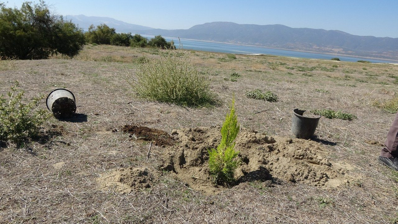 Burdurlu Gazeteciler kuraklıkla boğuşan Burdur Gölü'nü kurtarmak için fidan dikti - Sayfa 9