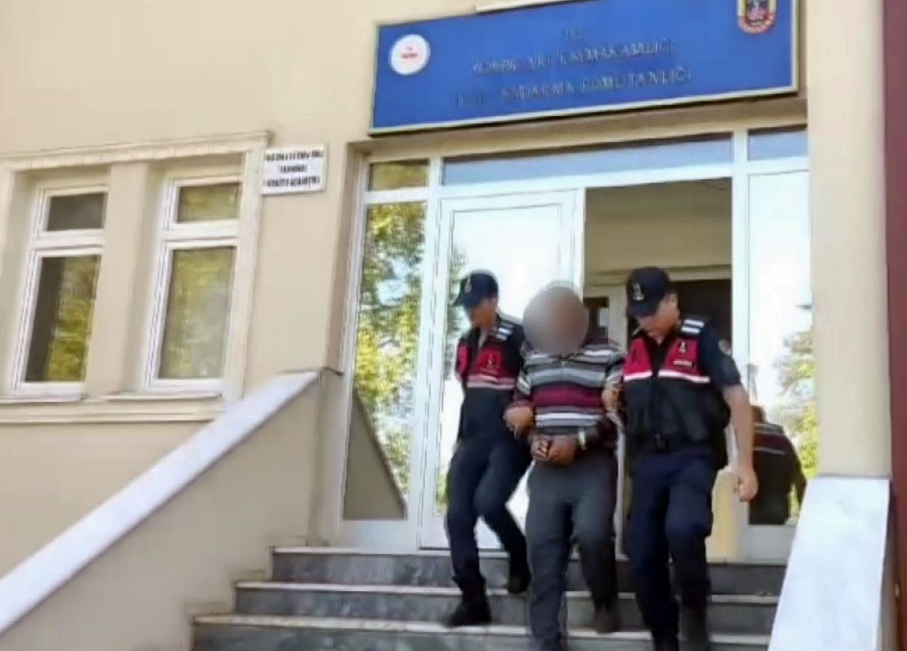 Sakarya’da Tarla Hırsızları Yakalandı: Mısır ve Üzüm Çalan İki Şahıs Tutuklandı - Sayfa 3