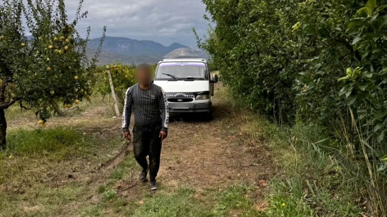 Sakarya’da Tarla Hırsızları Yakalandı: Mısır ve Üzüm Çalan İki Şahıs Tutuklandı - Sayfa 1