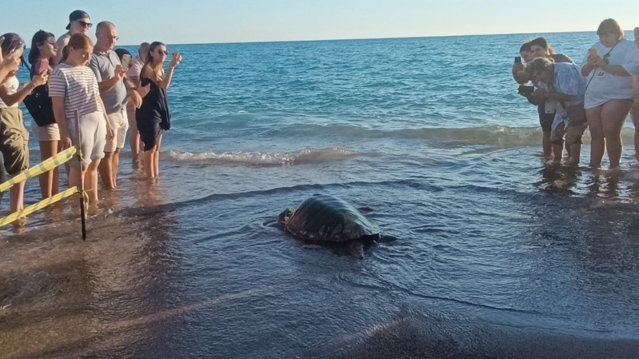 Caretta Carettalar Tamamlanan Tedavilerinin Ardından Denizle Buluştu - Sayfa 13