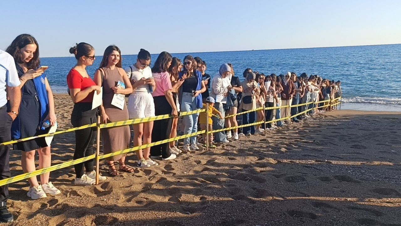 Caretta Carettalar Tamamlanan Tedavilerinin Ardından Denizle Buluştu - Sayfa 9