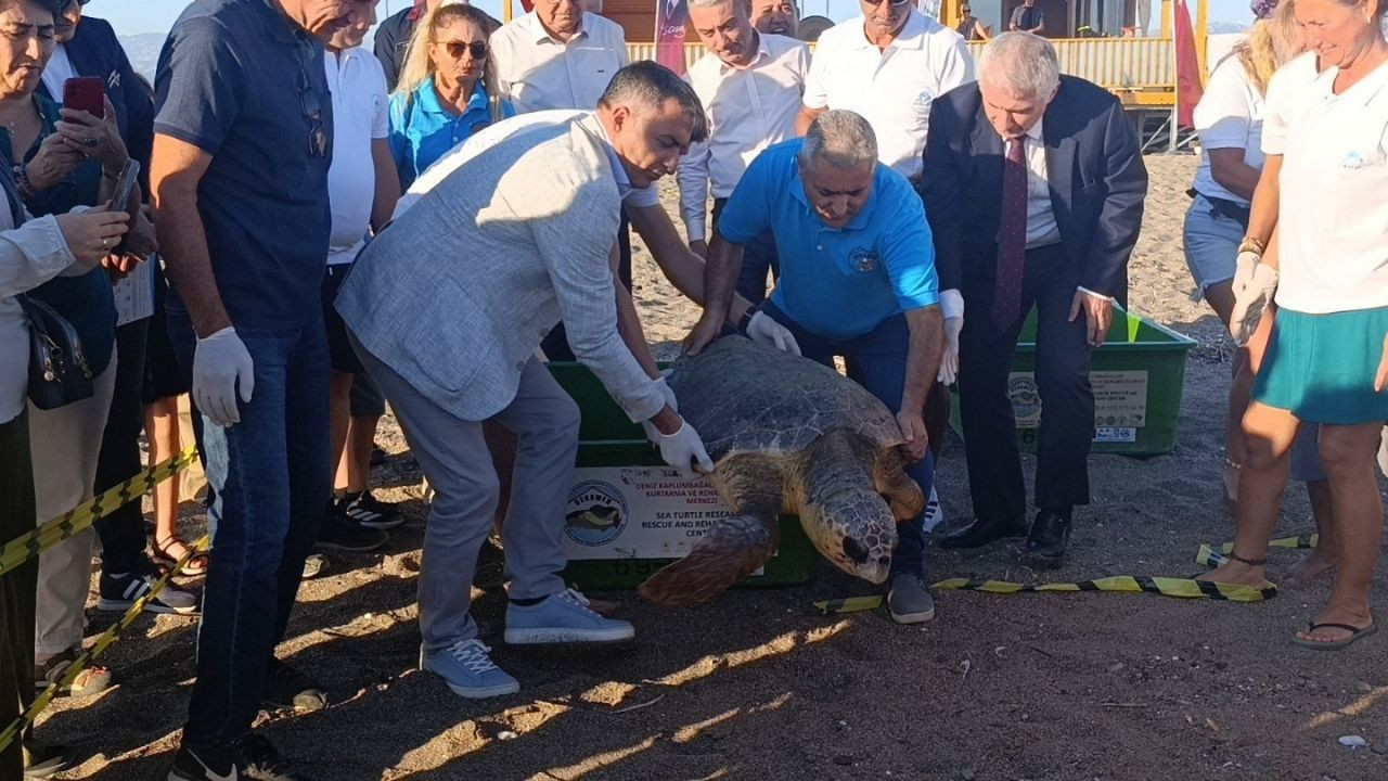 Caretta Carettalar Tamamlanan Tedavilerinin Ardından Denizle Buluştu - Sayfa 7