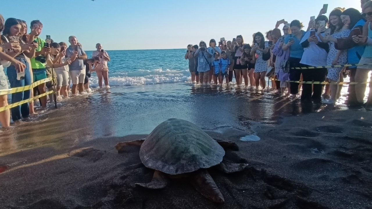 Caretta Carettalar Tamamlanan Tedavilerinin Ardından Denizle Buluştu - Sayfa 6