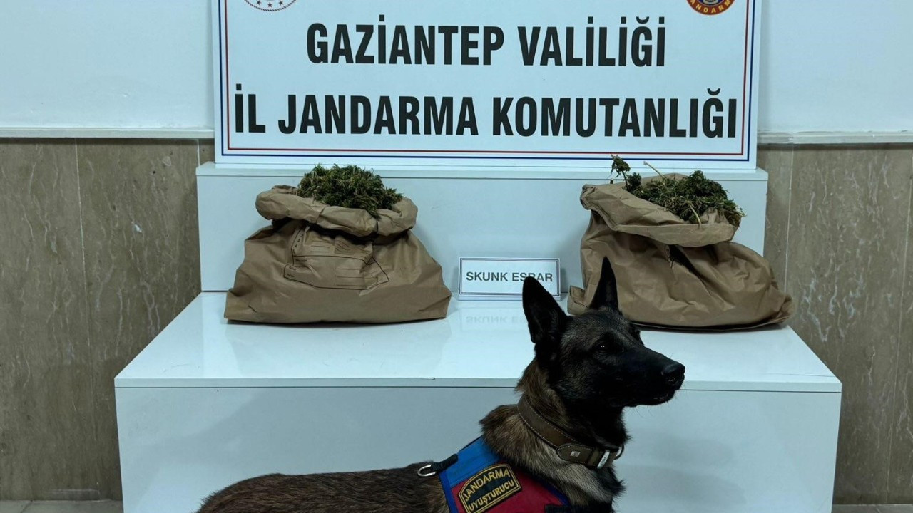 Uyuşturucu tacirine jandarma baskını