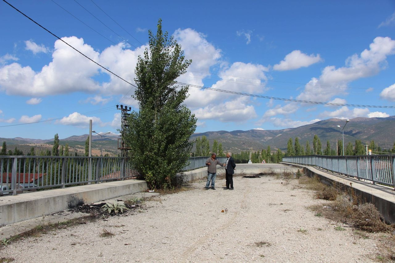 Amasya'da 16 Yıldır Tamamlanamayan Üstgeçitte Ağaçlar Bitti - Sayfa 3