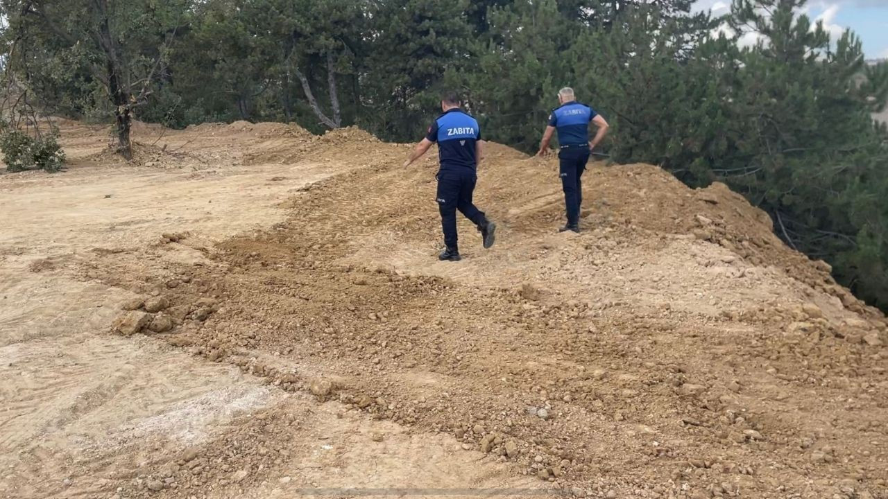 Zabıta doğa katliamına 'dur' dedi