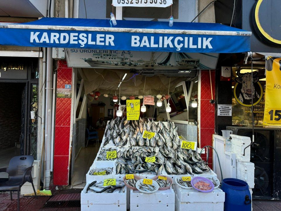 Rize'de hamsi tezgaha 200 TL’den girdi, palamudun saltanatı devam etti - Sayfa 3