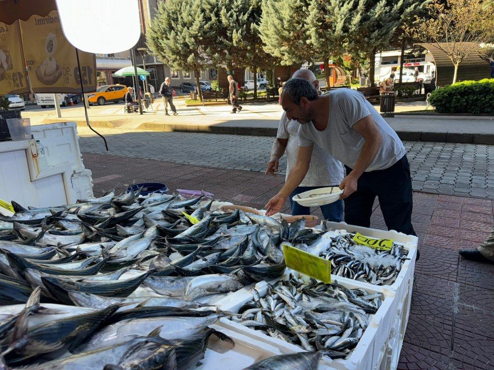 Rize'de hamsi tezgaha 200 TL’den girdi, palamudun saltanatı devam etti - Sayfa 5