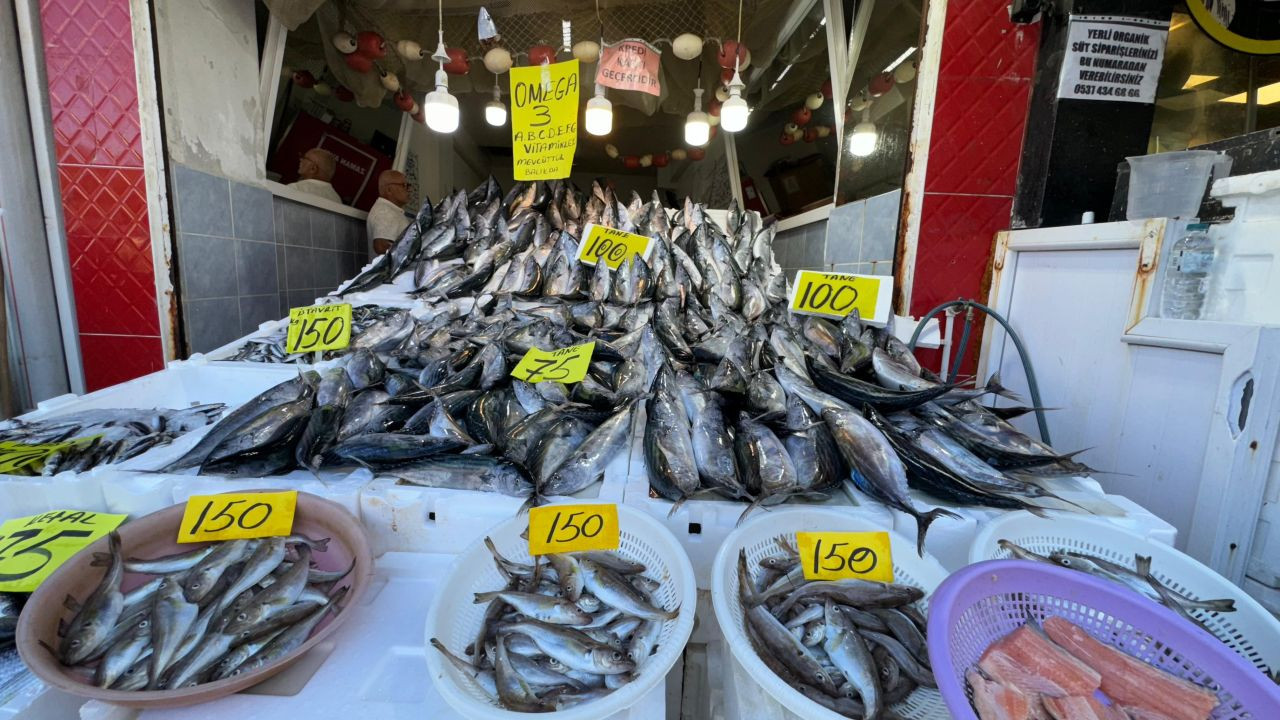 Karadeniz' de palamut bolluğu - Sayfa 1