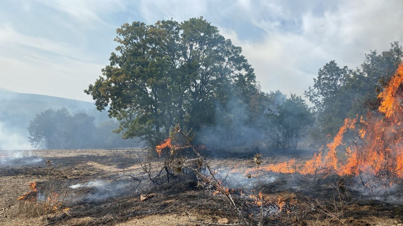 Bursa'da peş peşe yangın Ormanlık alanda çıkan yangına ekiplerin müdahalesi sürüyor - Sayfa 4