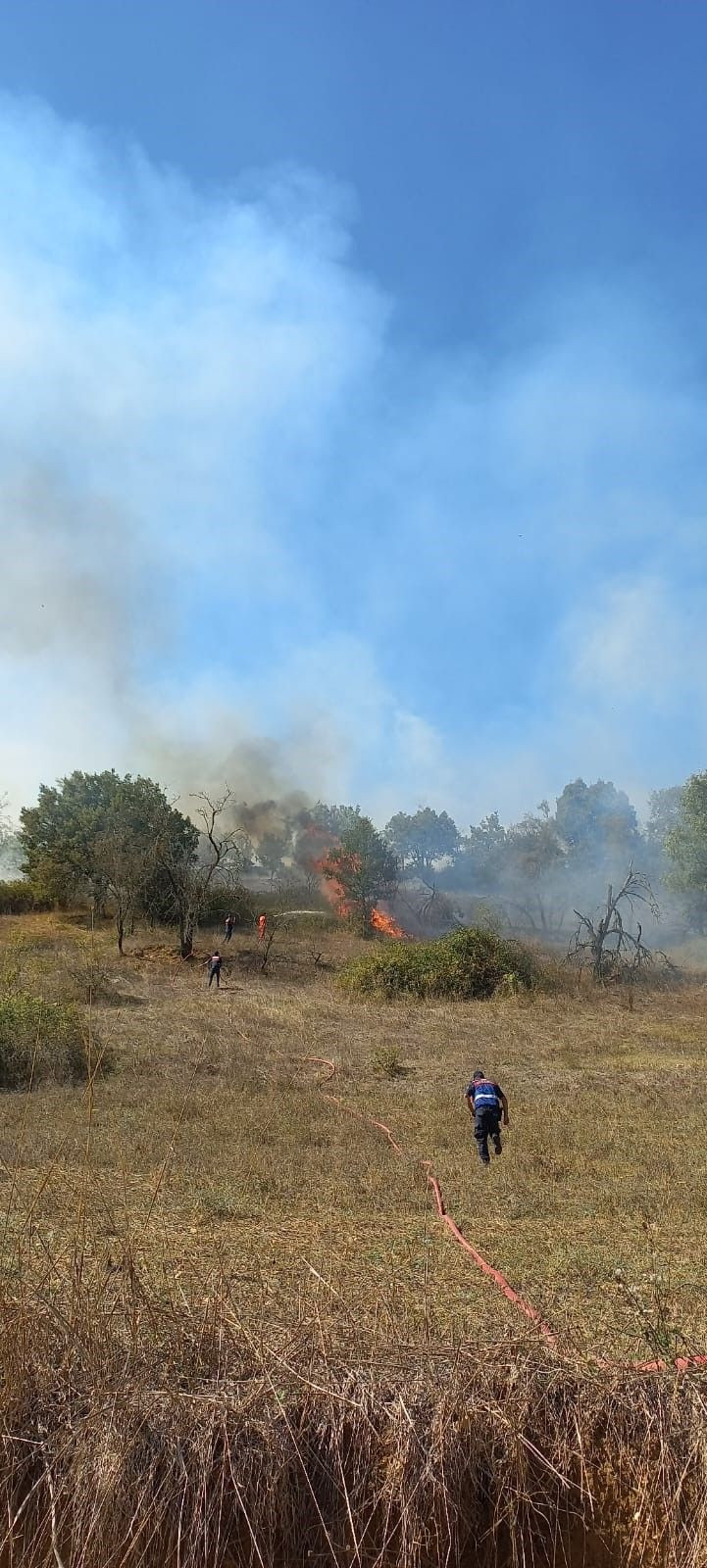 Bursa'da yangın - Sayfa 4