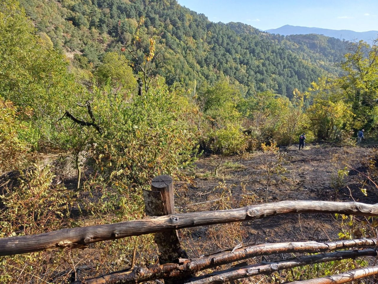 Bursa'da yangın - Sayfa 2