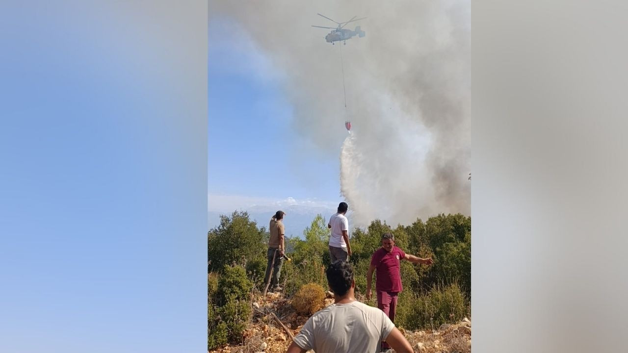 Muğla'da orman yangını