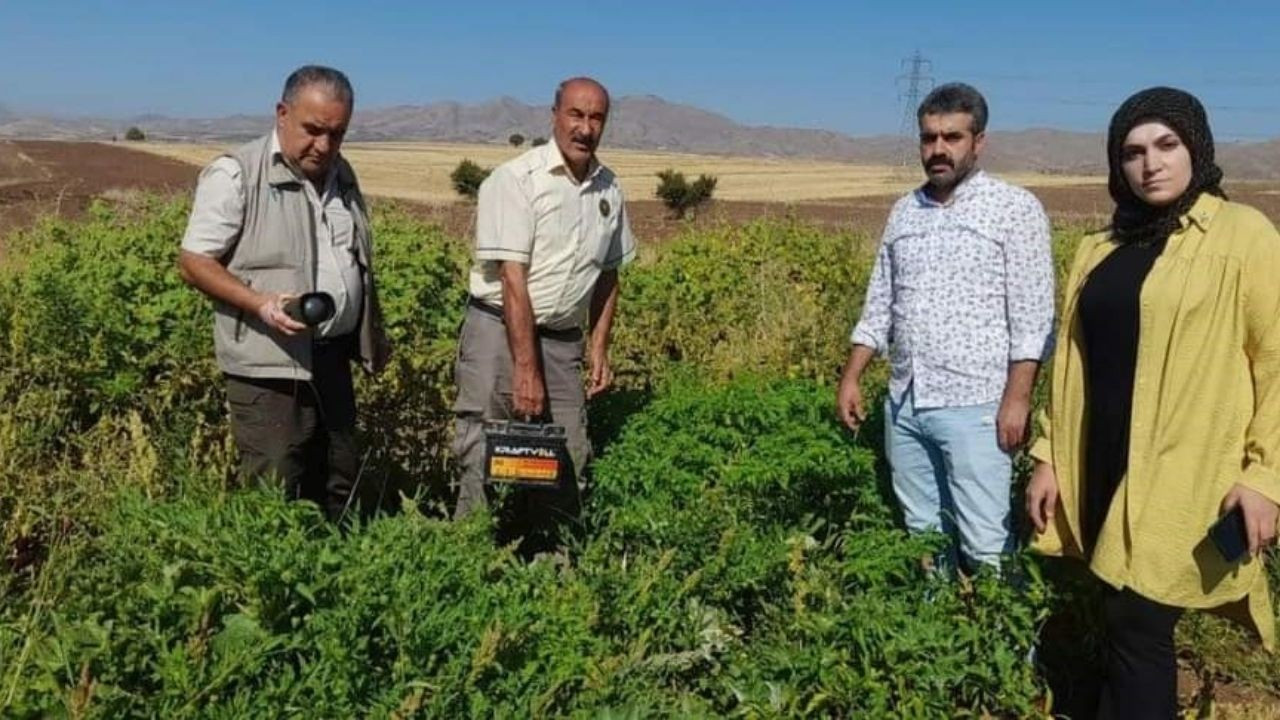 Elazığ'da kaçak avcıların kullandığı, bıldırcın sesi çıkaran cihaz ele geçirildi