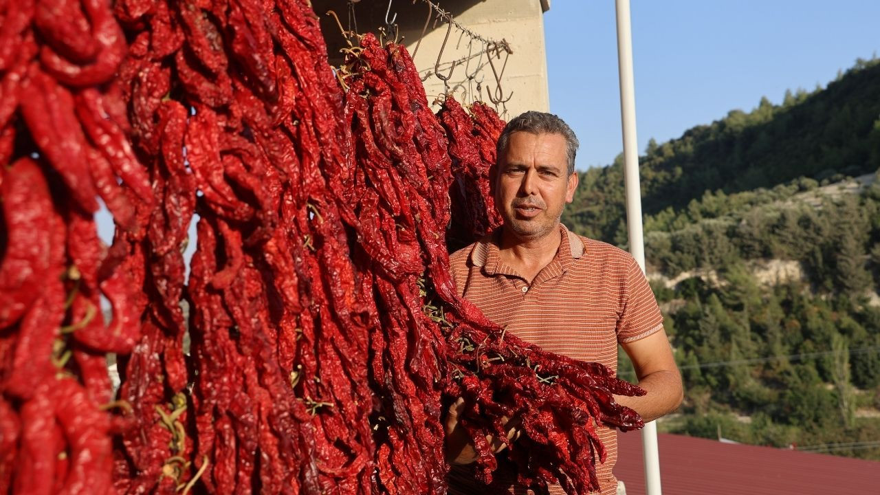 Kurutmalık biberlerle mahalle adeta kırmızıya büründü - Sayfa 2