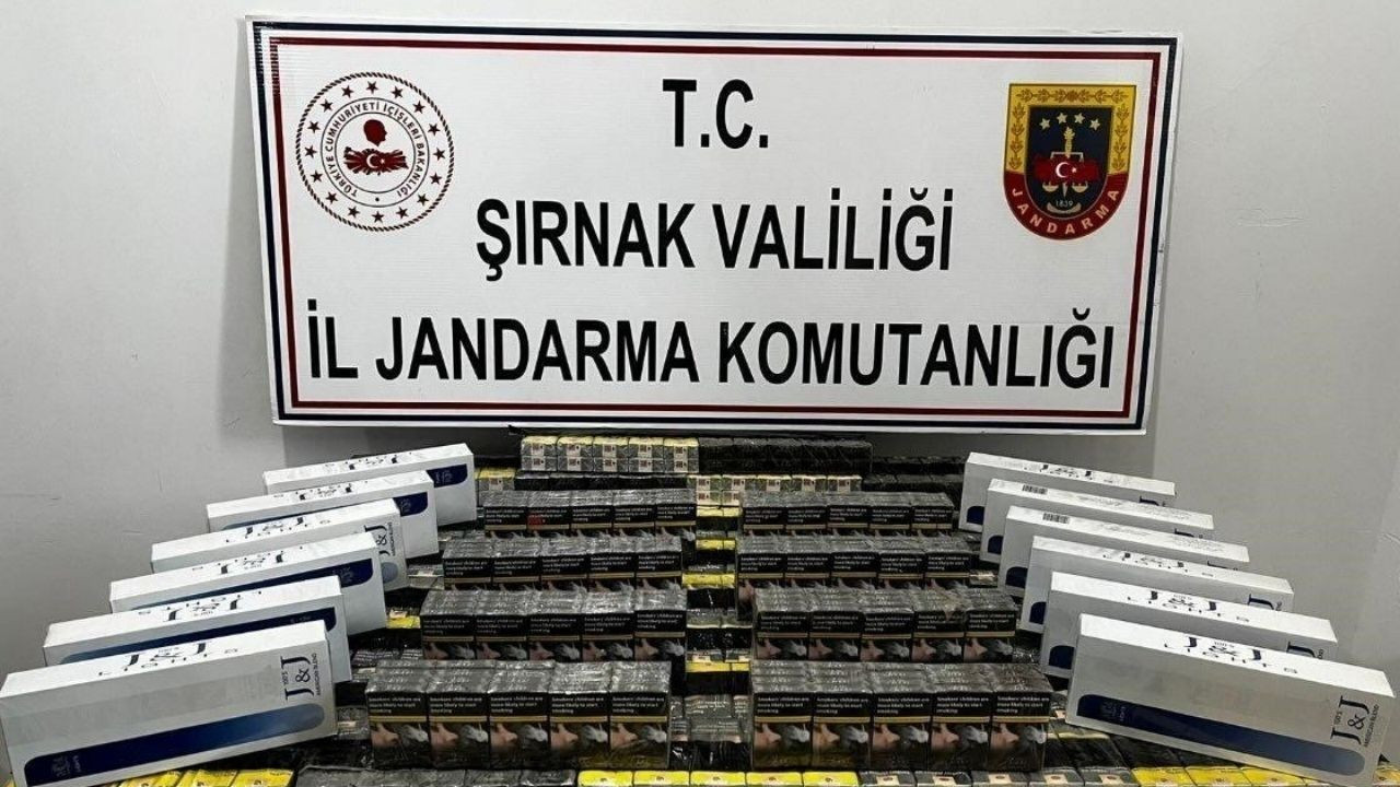 Şırnak'ta jandarma ekiplerinden kaçakçılara operasyon yapıldı ve 17 kişiye işlem yapıldı