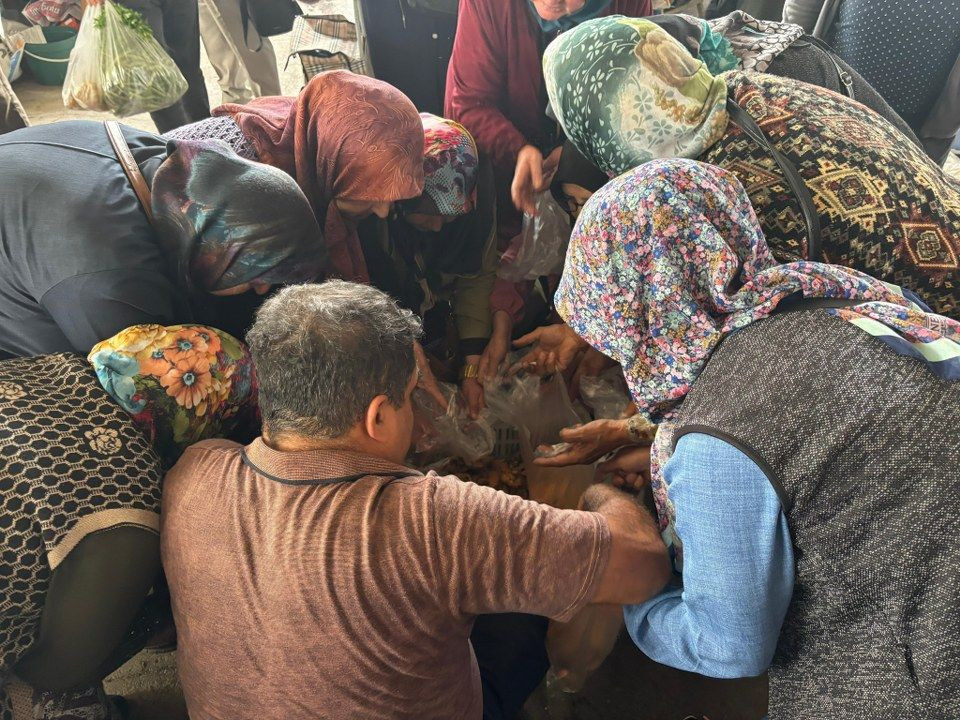 Kanlıca mantarına yoğun ilgi - Sayfa 3