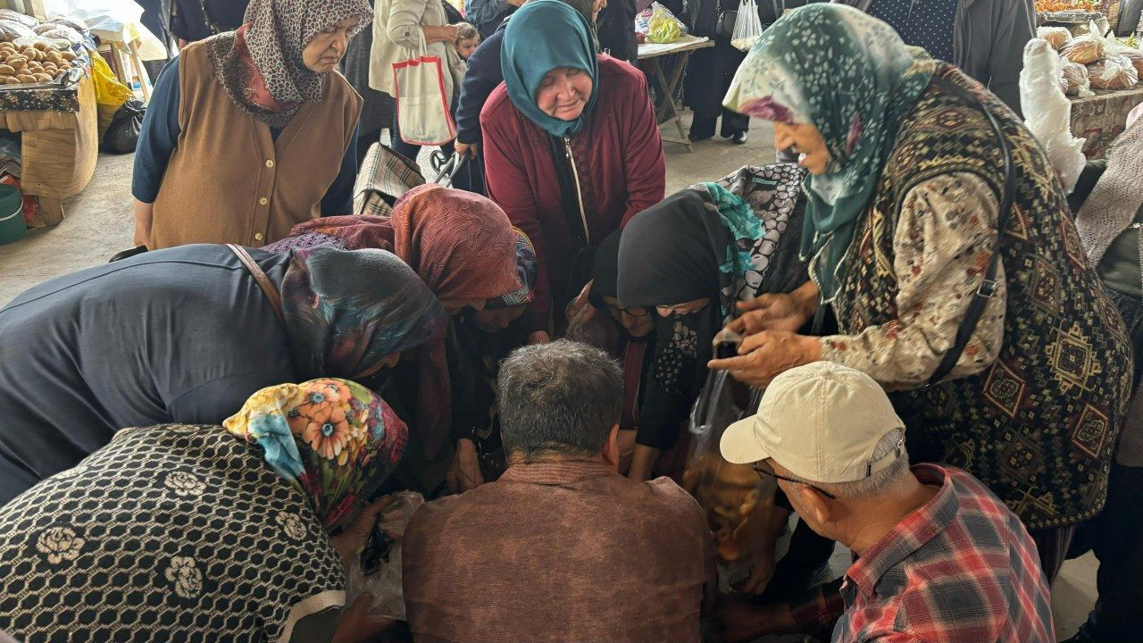 Kanlıca mantarına yoğun ilgi - Sayfa 4