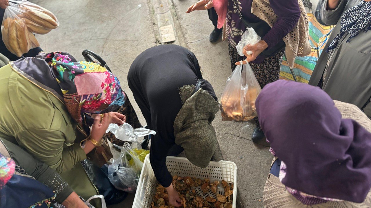 Kanlıca mantarına yoğun ilgi