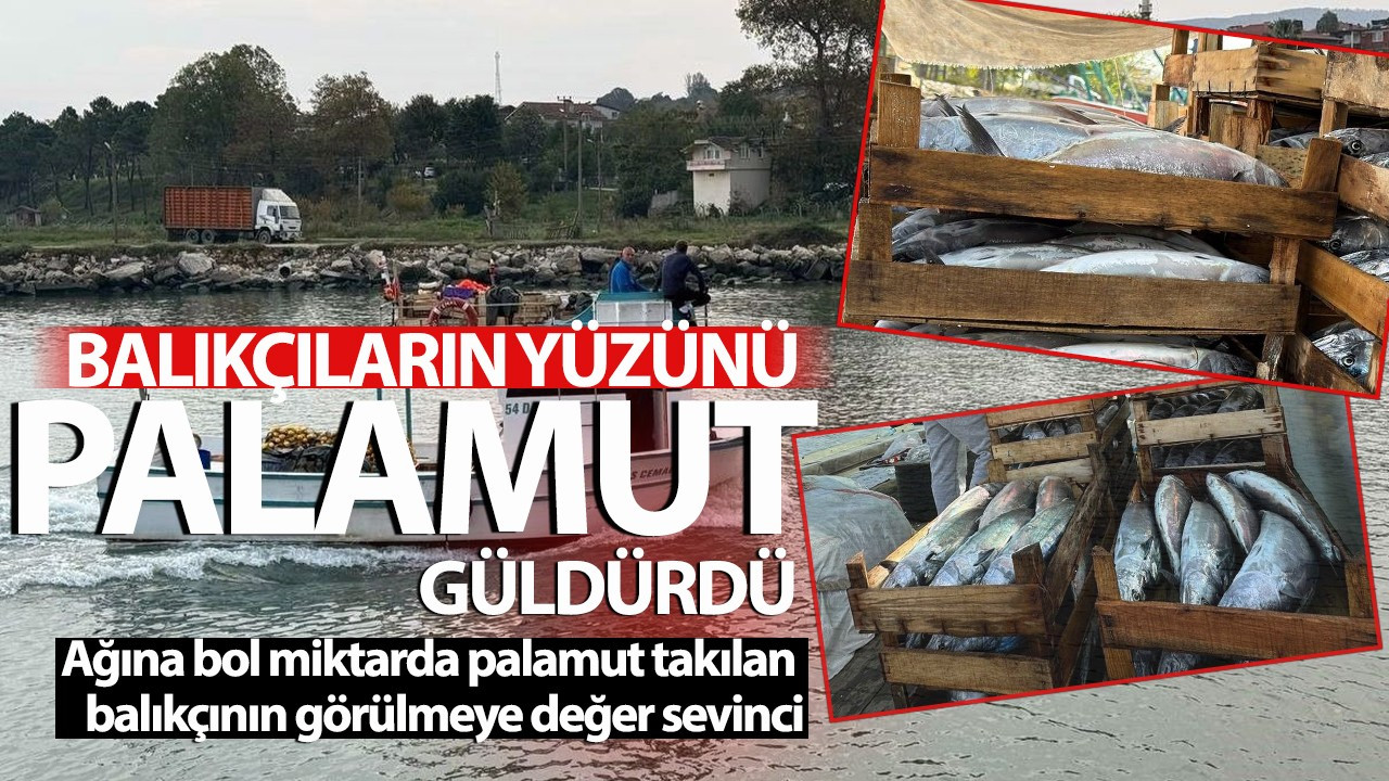 Balıkçıların yüzünü palamut güldürdü