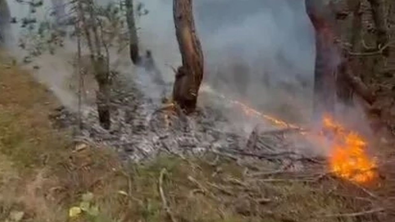 Yıldırım Düşmesiyle Çıkan Orman Yangını, Köylülerin Müdahalesiyle Kontrol Altına Alındı