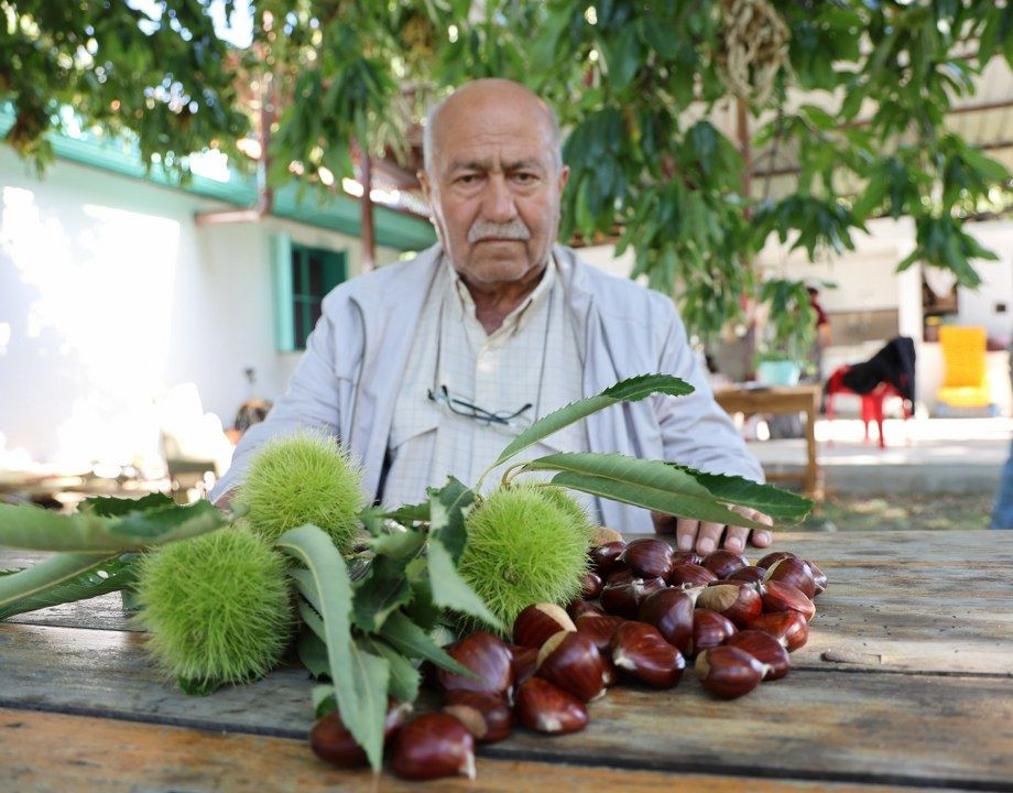 Kış aylarının vazgeçilmezi: Kestane - Sayfa 1