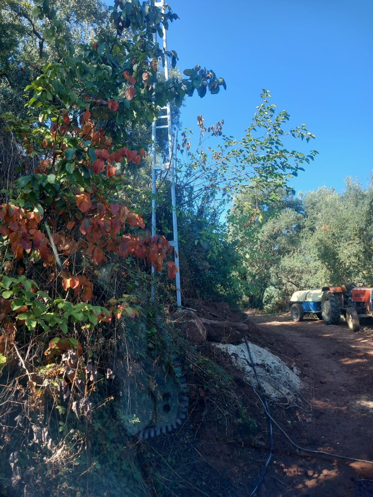 Bursa'da bir işçi elektrik direğinden düşerek ağır yaralandı - Sayfa 2