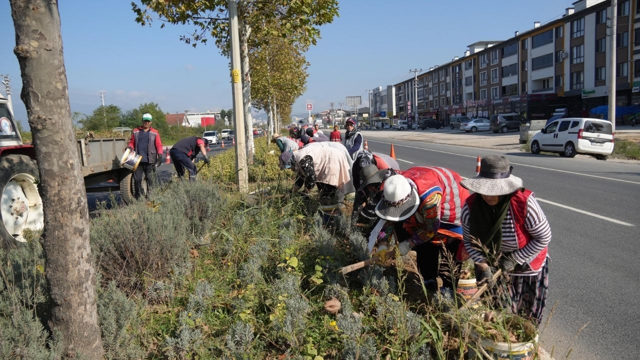 Mevsime uygun bakım çalışmaları yapılıyor - Sayfa 4