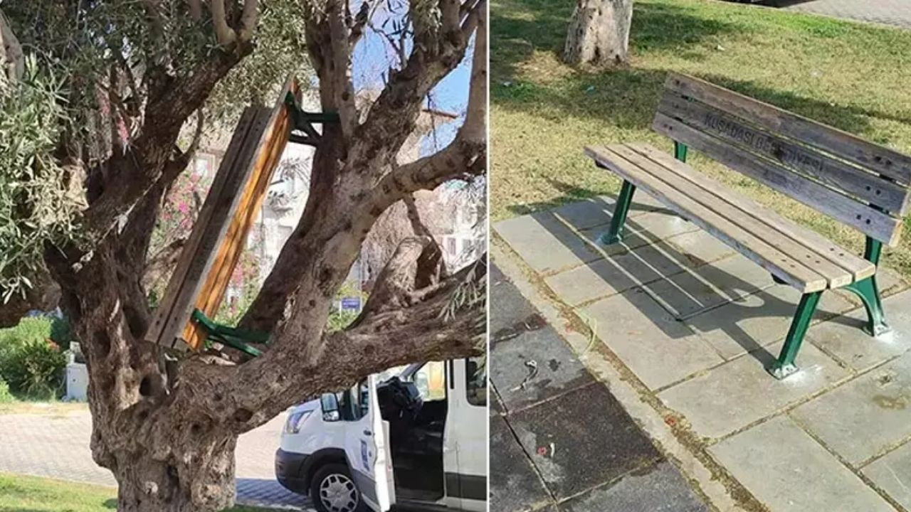 Aydın'da Vandallar Park Bankını Söküp Ağaca Astı