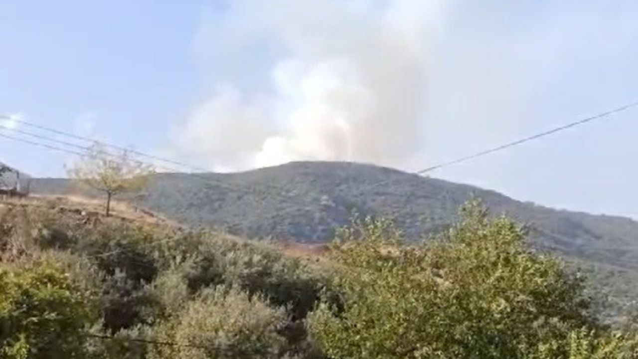 Gaziantep’te orman yangını