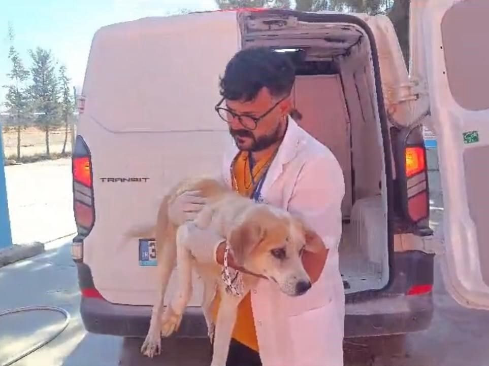 Kuyuya düşen köpeği itfaiye ekipleri kurtardı - Sayfa 3