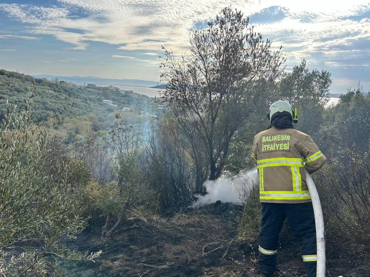 Erdek'te Yangın: 10 Dönümlük Zeytinlik Kül Oldu - Sayfa 1