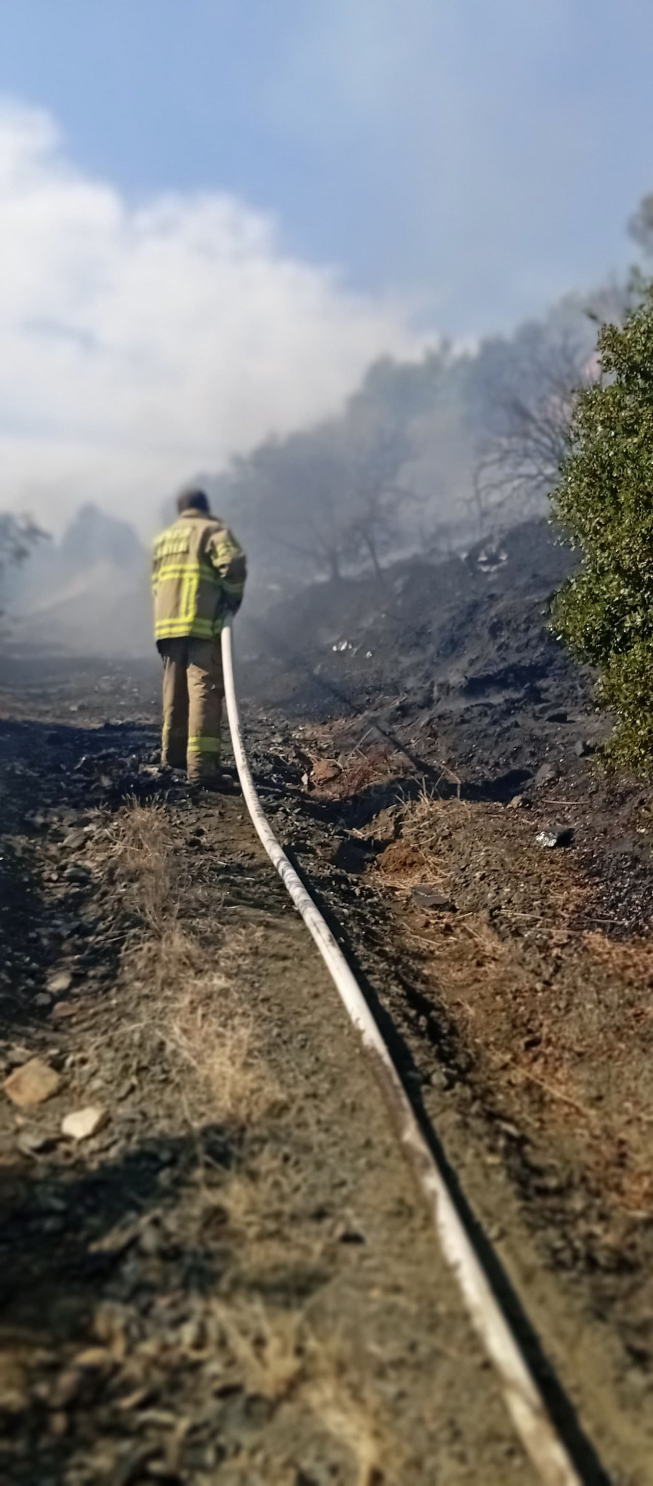 Erdek'te Yangın: 10 Dönümlük Zeytinlik Kül Oldu - Sayfa 3