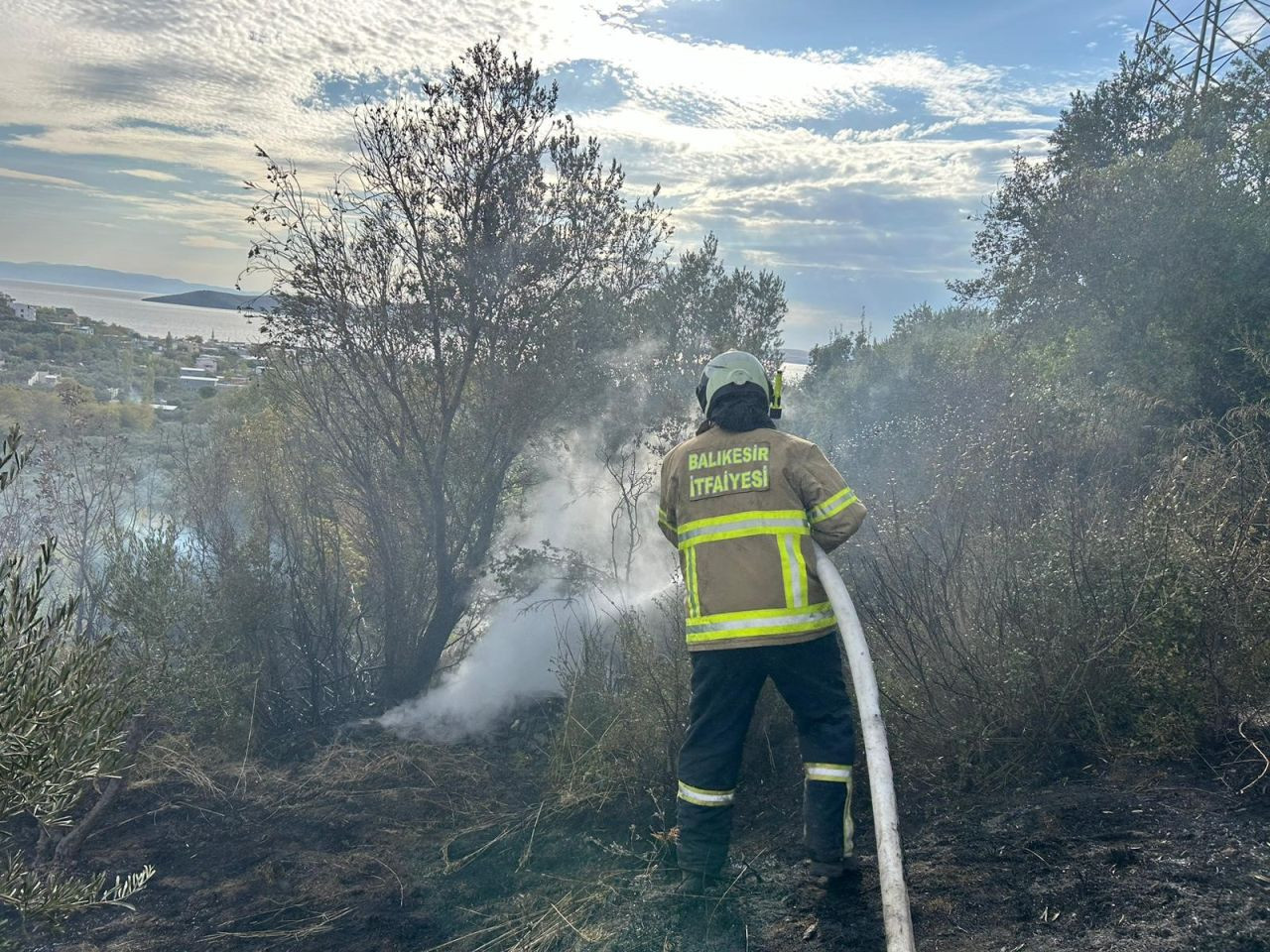 Erdek'te Yangın: 10 Dönümlük Zeytinlik Kül Oldu - Sayfa 2