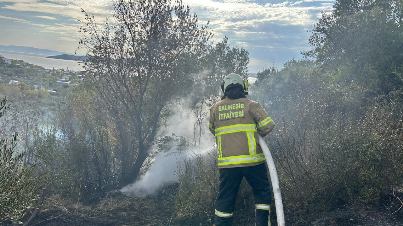 Erdek'te Yangın: 10 Dönümlük Zeytinlik Kül Oldu