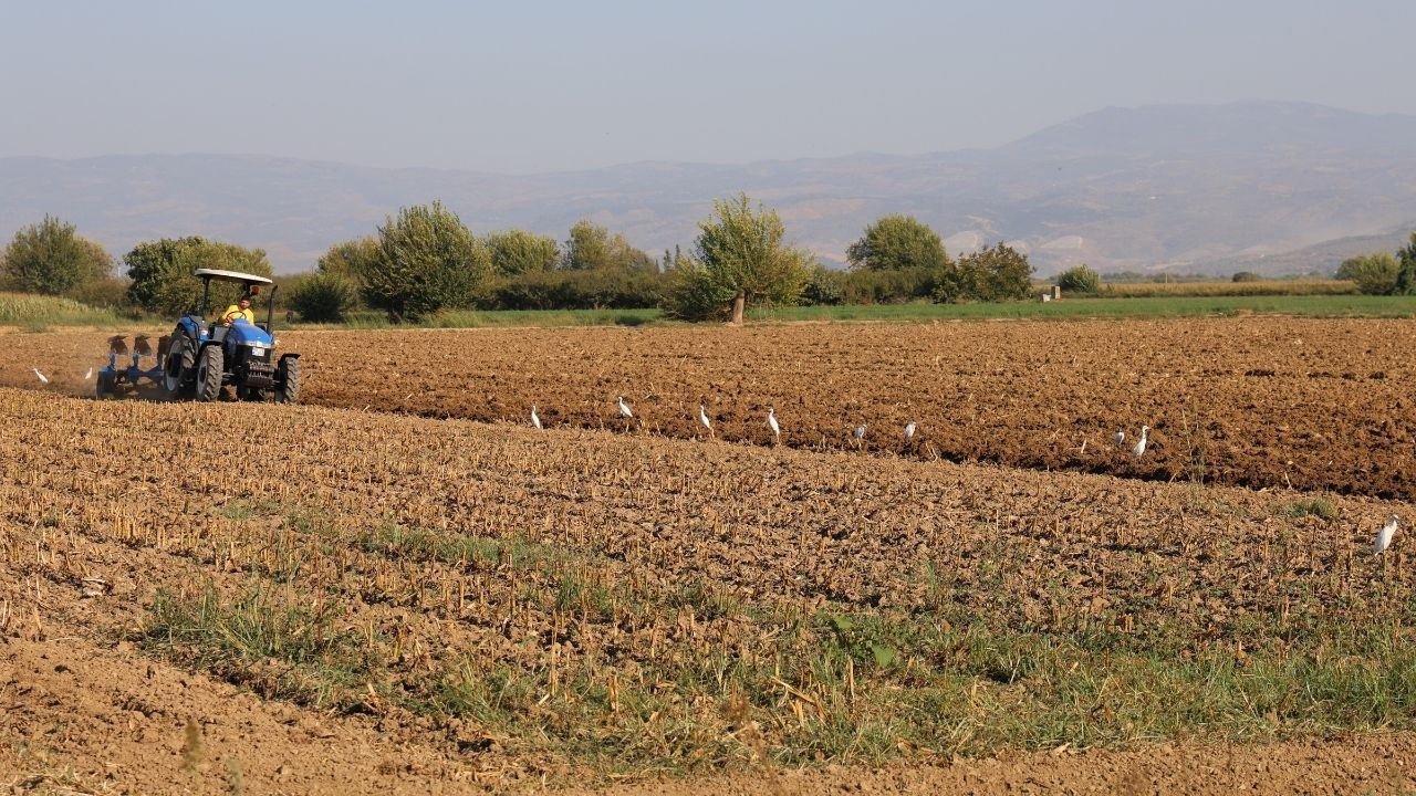 Tarlada çalışacak işçi bulamayınca her yıl onca yolu geliyor - Sayfa 5