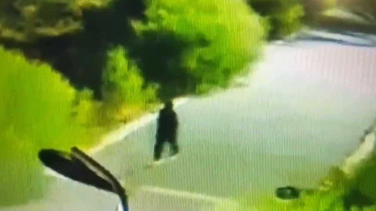 Van'da kaybolan Rojin’in son görüntüleri ortaya çıktı