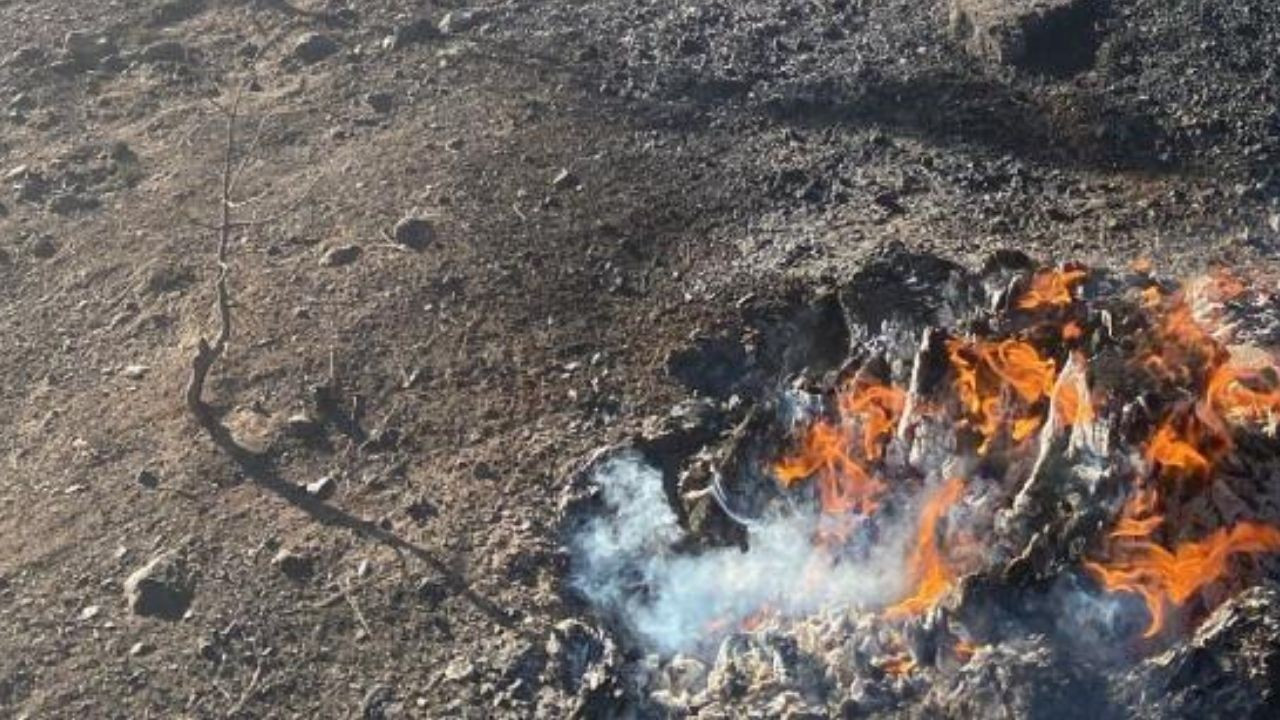 Muğla Köyceğiz'deki Orman Yangını Kontrol Altına Alındı