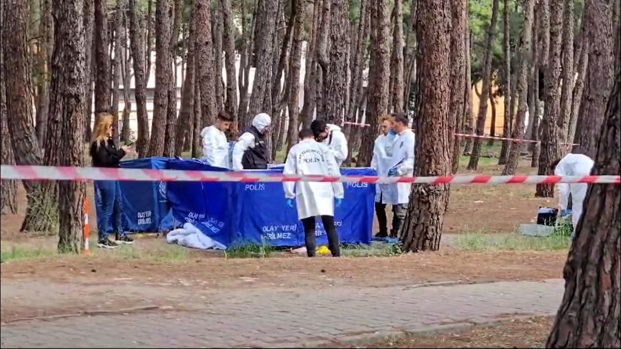 Bakırköy Ruh ve Sinir Hastalıkları Hastanesi bahçesinde cinayet