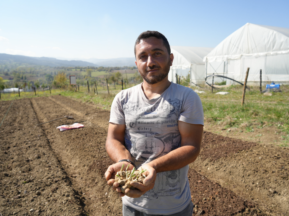 Doğada toplanması yasak olan salebin üretimi artıyor: Kastamonu'da 12 dekar alanda dikim başladı - Sayfa 5