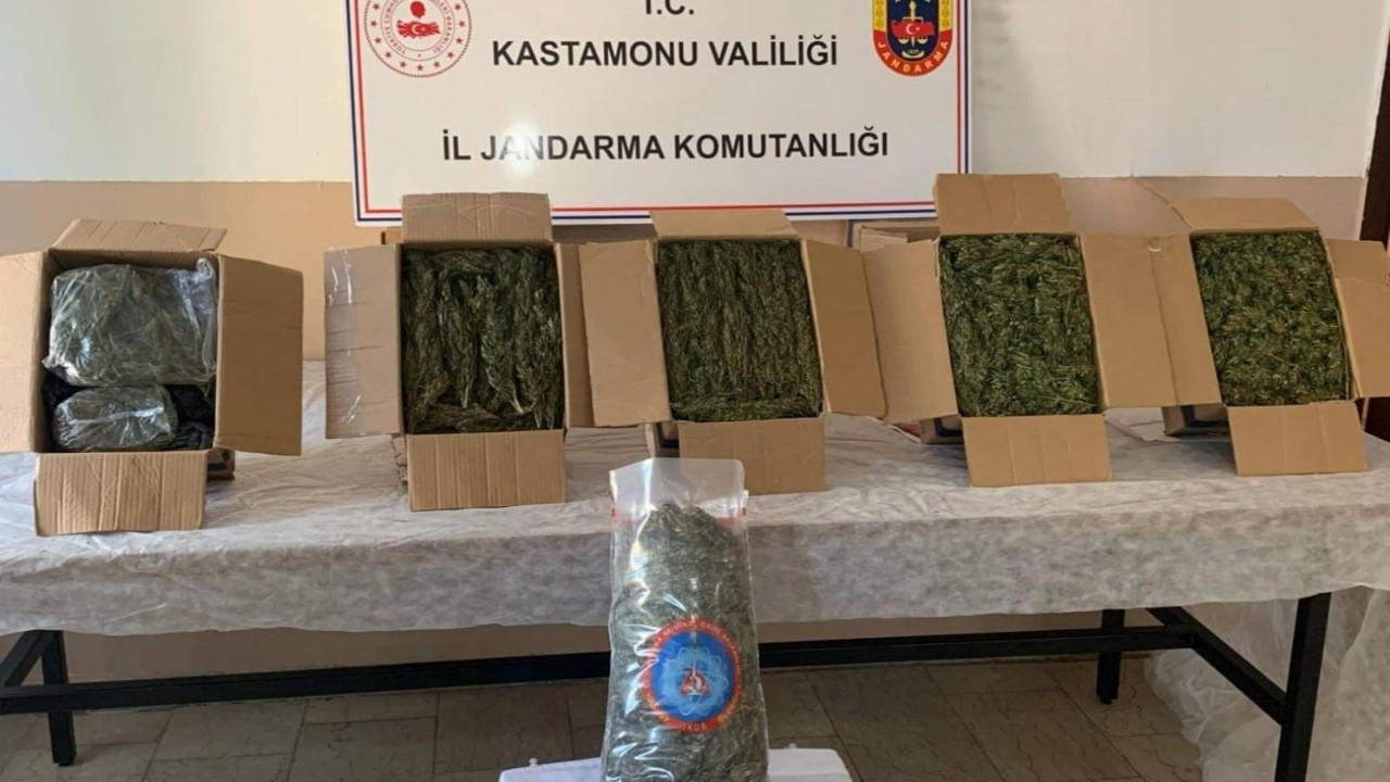 Kastamonu’da esrar ele geçirildi : 1 kişi tutuklandı