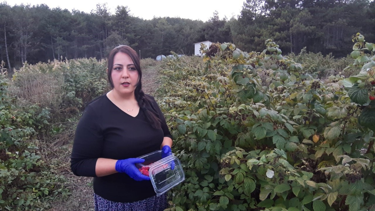 Bolu'da kuaför kadın aldığı araziyi 7 yılda çiftliğe dönüştürdü!