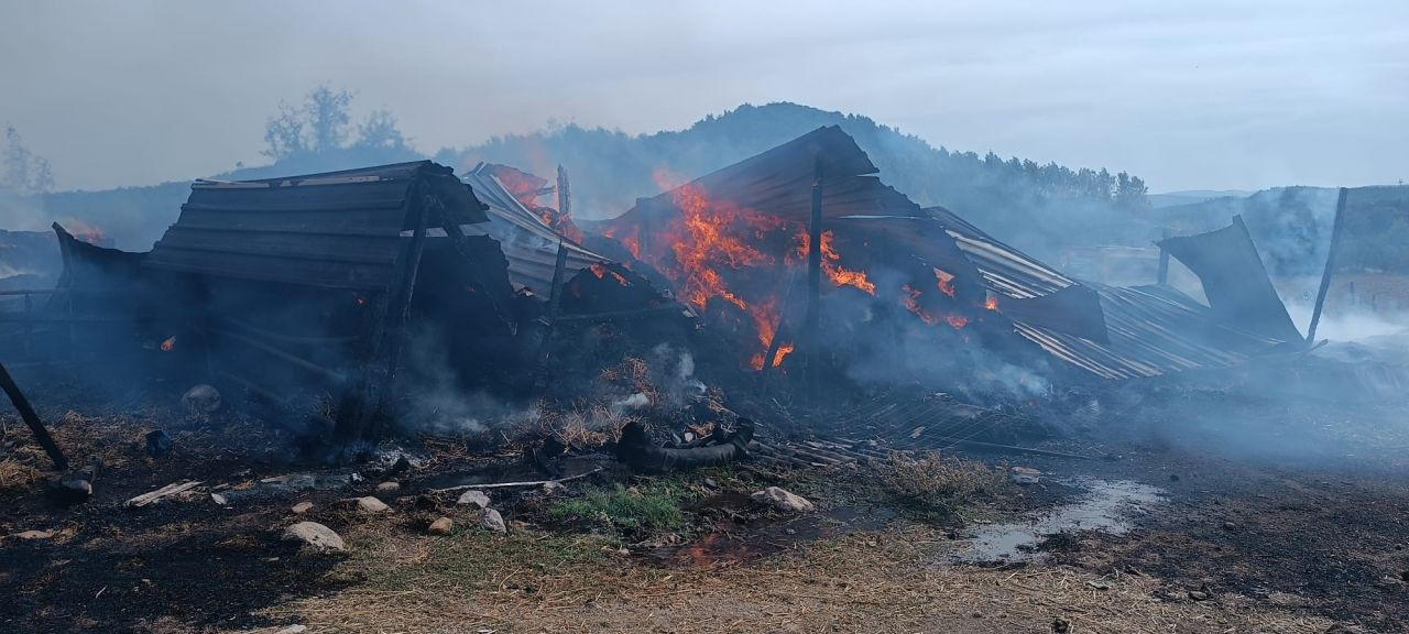 Çanakkale'de saman deposunda yangın - Sayfa 4