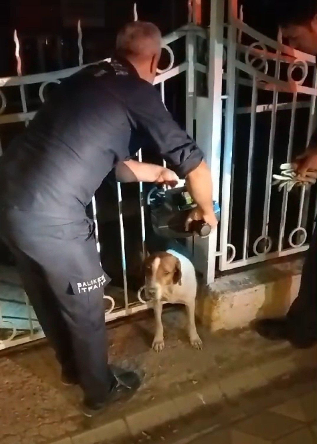 Bandırma'da Kahramanlık Anları: Demir Parmaklıklara Sıkışan Köpek Kurtarıldı - Sayfa 3