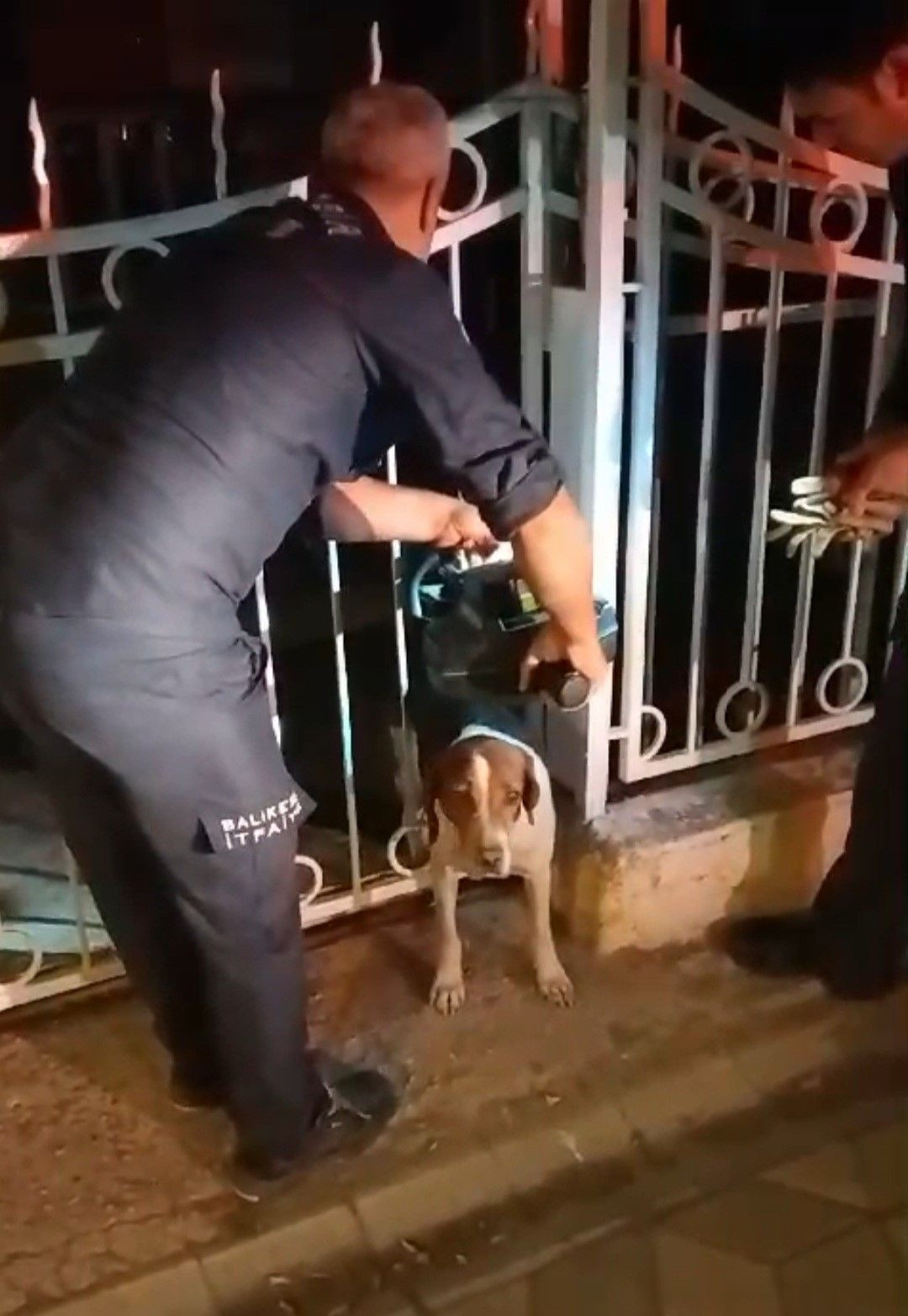 Bandırma'da Kahramanlık Anları: Demir Parmaklıklara Sıkışan Köpek Kurtarıldı - Sayfa 4