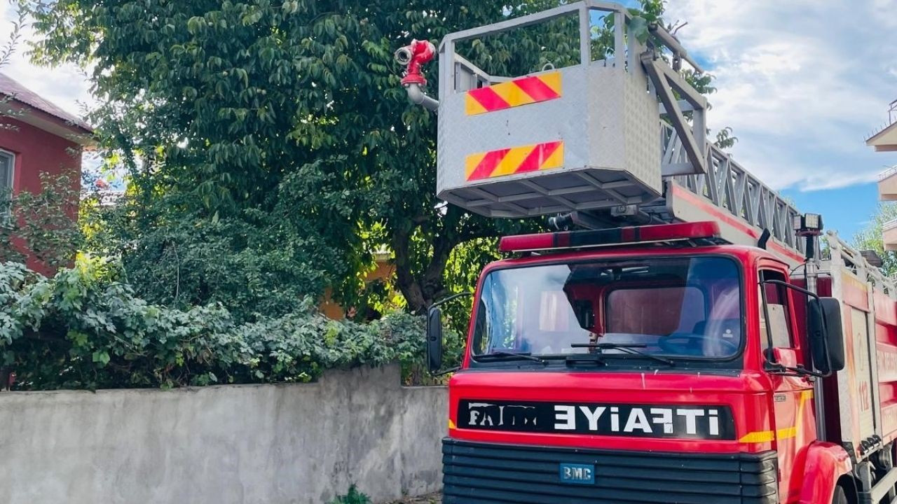 Bingöl'de için çıktığı ceviz ağacında mahsur kaldı